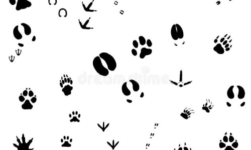 百适可是治疗焦虑还是抑郁-百适可治疗效果网 - 为你提供百适可片、百适可的用法用量